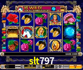 Experiência VIP slt797